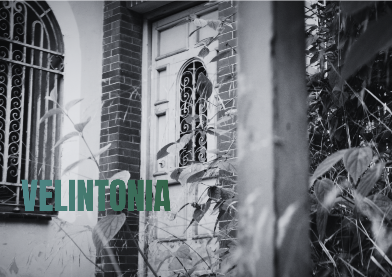 Miniatura del vídeo de fondo